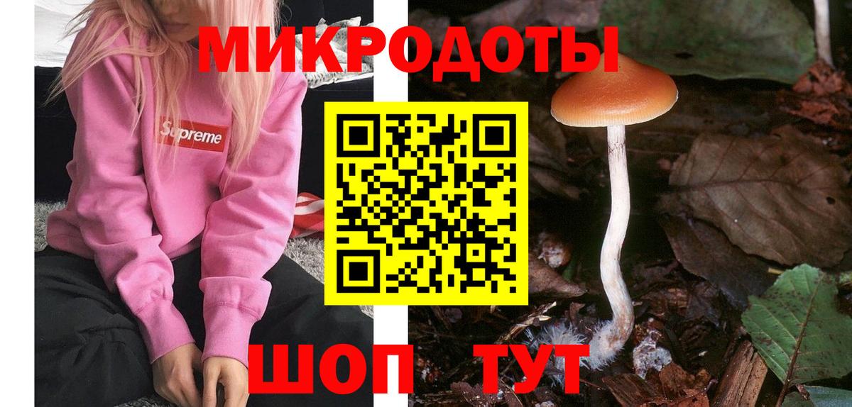 Галлюциногенные грибы прущие грибы  Вход с VPN  Псилоцибиновые грибы Psilocybe  Боровичи 